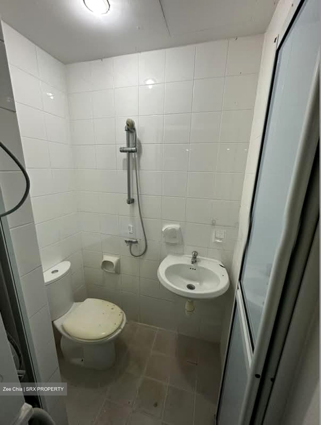 Dahlia Park Condominium (D17), Condominium #553183601
